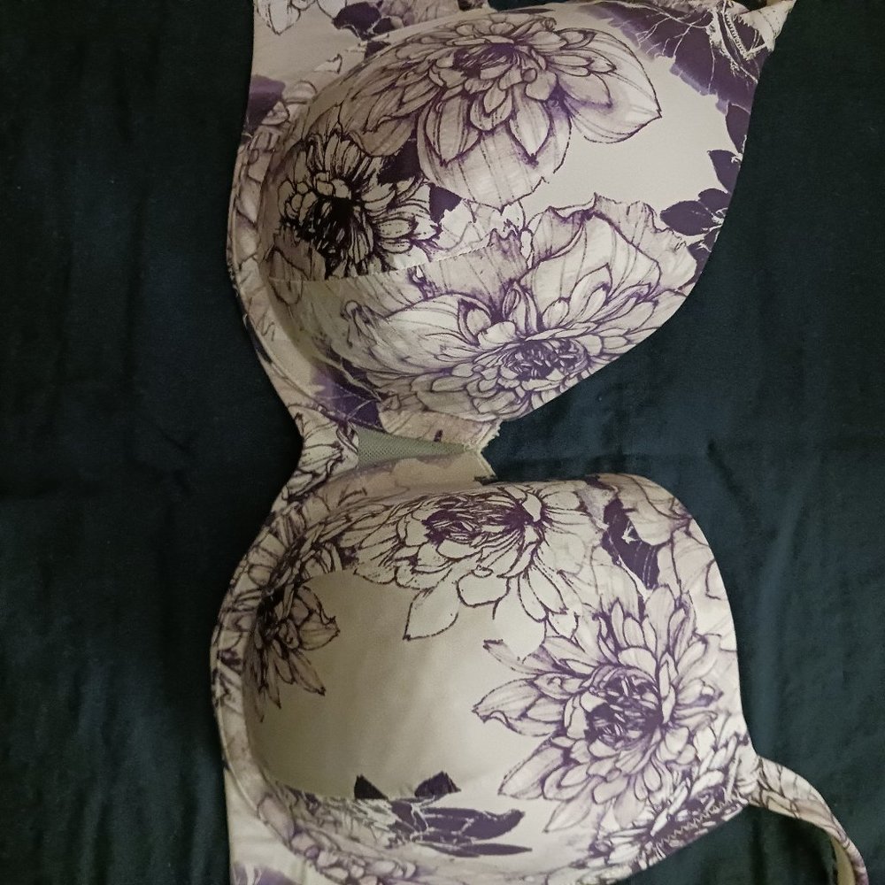 1 Beatiful Cacique Bra